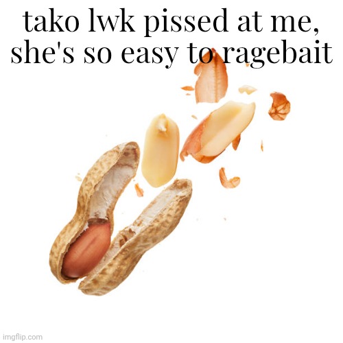 nnn | tako lwk pissed at me, she's so easy to ragebait | image tagged in nnn | made w/ Imgflip meme maker