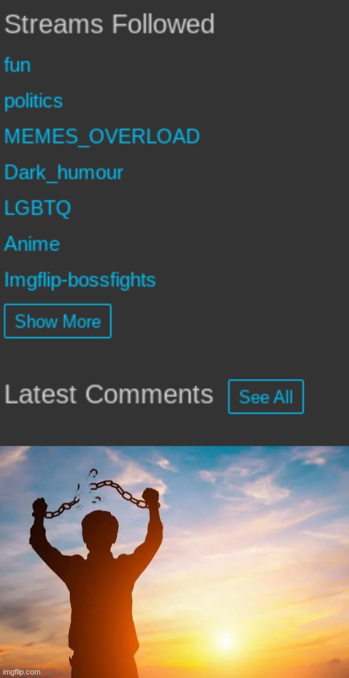 i'm prolly late to this but MSMG IS PRIVATE AGAIN HELL YEAH | image tagged in breaking free | made w/ Imgflip meme maker