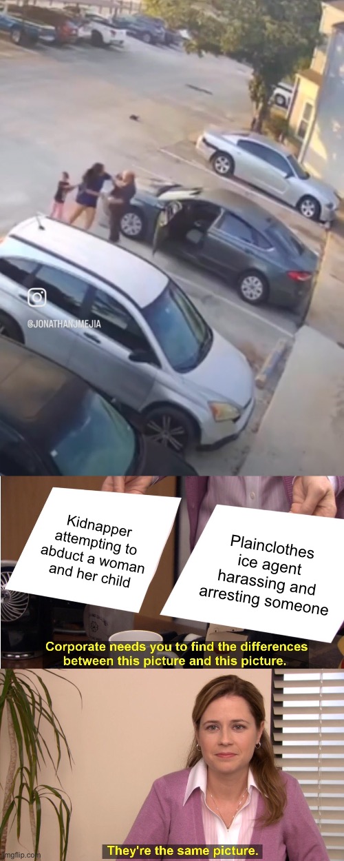 What ice is doing is indistinguishable from kidnapping and human trafficking, and conservatives love it | Kidnapper attempting to abduct a woman and her child; Plainclothes ice agent harassing and arresting someone | image tagged in memes,they're the same picture | made w/ Imgflip meme maker
