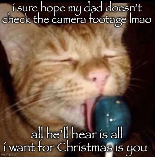 silly goober 2 | i sure hope my dad doesn’t check the camera footage lmao; all he’ll hear is all i want for Christmas is you | image tagged in silly goober 2 | made w/ Imgflip meme maker