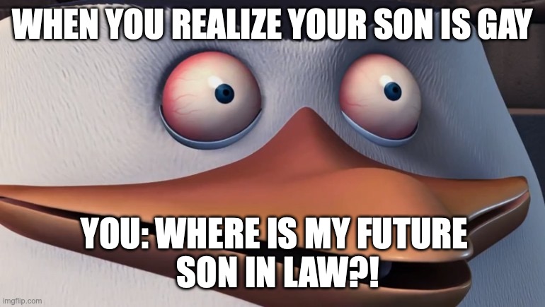 Penguins of madagascar skipper red eyes | WHEN YOU REALIZE YOUR SON IS GAY; YOU: WHERE IS MY FUTURE
 SON IN LAW?! | image tagged in penguins of madagascar skipper red eyes | made w/ Imgflip meme maker