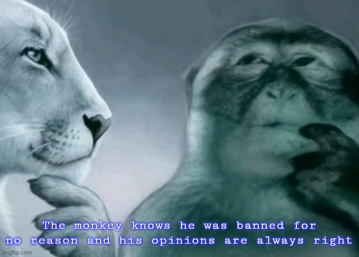 Is this ragebait? | The monkey knows he was banned for no reason and his opinions are always right | image tagged in is this ragebait | made w/ Imgflip meme maker