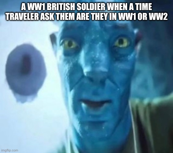 Avatar guy | A WW1 BRITISH SOLDIER WHEN A TIME TRAVELER ASK THEM ARE THEY IN WW1 OR WW2 | image tagged in avatar guy | made w/ Imgflip meme maker