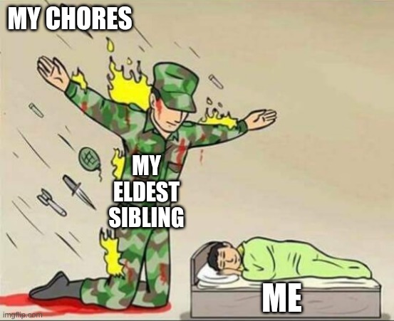 Thanks older siblings | MY CHORES; MY ELDEST SIBLING; ME | image tagged in soldier protecting sleeping child | made w/ Imgflip meme maker