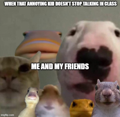 The council will decide tour fate | WHEN THAT ANNOYING KID DOESN'T STOP TALKING IN CLASS; ME AND MY FRIENDS | image tagged in the council remastered | made w/ Imgflip meme maker