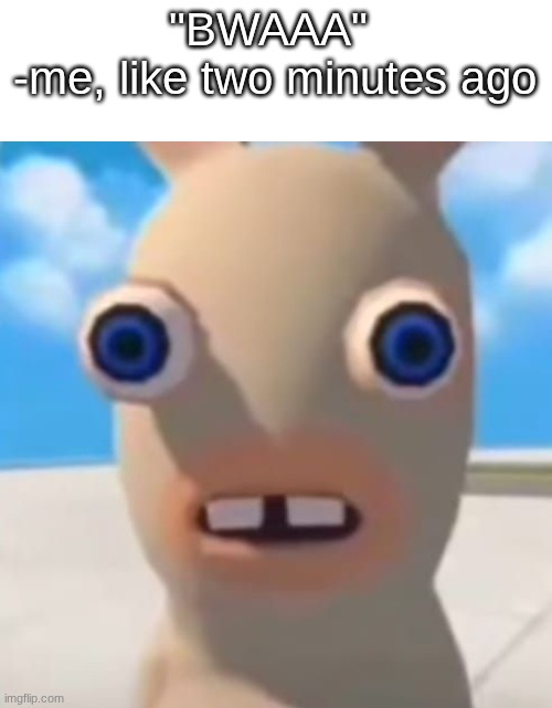 Idiot Rabbid | "BWAAA" 
-me, like two minutes ago | image tagged in idiot rabbid | made w/ Imgflip meme maker