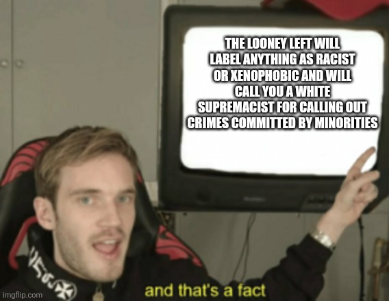 This is a fact | THE LOONEY LEFT WILL LABEL ANYTHING AS RACIST OR XENOPHOBIC AND WILL CALL YOU A WHITE SUPREMACIST FOR CALLING OUT CRIMES COMMITTED BY MINORITIES | image tagged in and that's a fact | made w/ Imgflip meme maker
