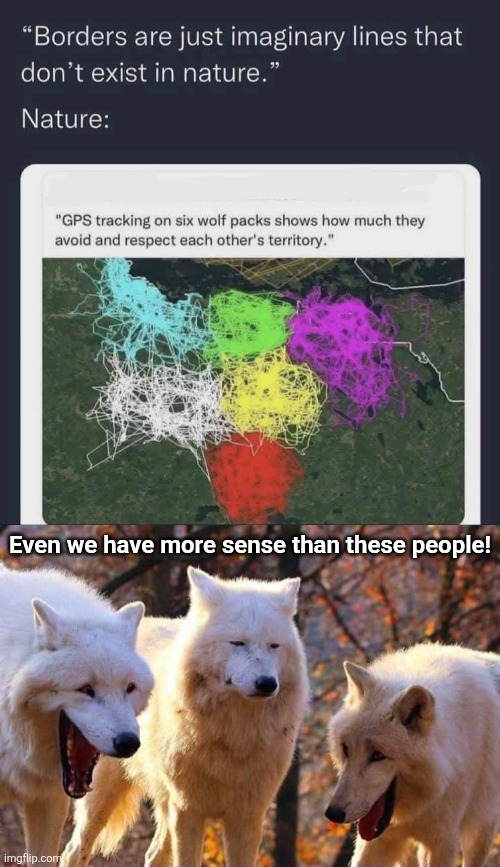 Imaginary Logic | Even we have more sense than these people! | image tagged in laughing wolf,open borders,leftists,liberal logic,illegal immigrant,invasion | made w/ Imgflip meme maker