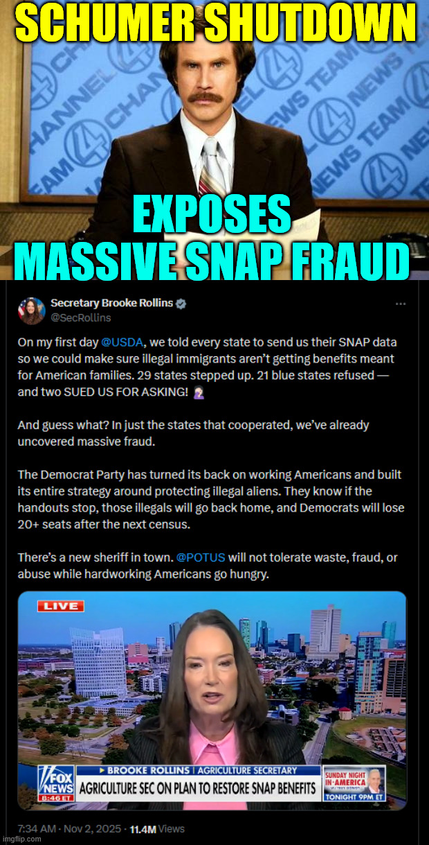 Schumer shutdown exposes massive SNAP fraud | SCHUMER SHUTDOWN; EXPOSES MASSIVE SNAP FRAUD | image tagged in breaking news,schumer shutdown,exposes massive snap fraud | made w/ Imgflip meme maker