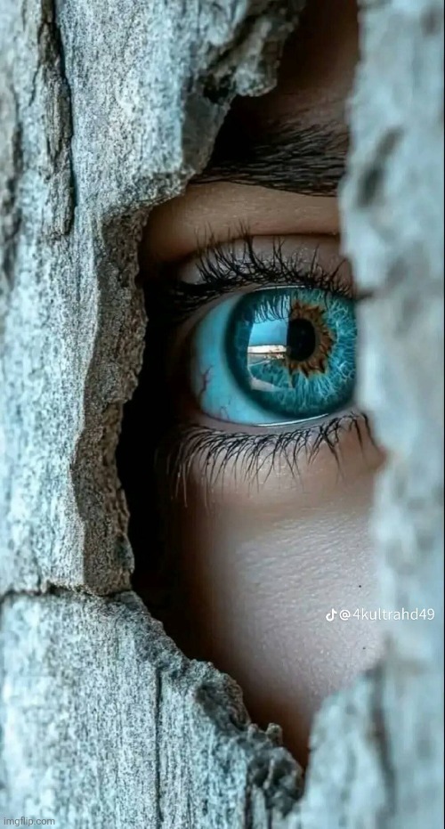 Peekabo | image tagged in beautiful,eyes,awesome,pic | made w/ Imgflip meme maker
