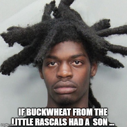 Son of Buckwheat | IF BUCKWHEAT FROM THE
LITTLE RASCALS HAD A  SON ... | image tagged in little rascals | made w/ Imgflip meme maker