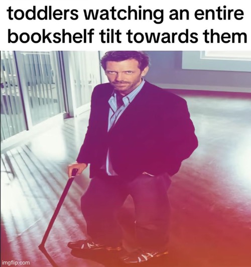 Acting like they gonna tank it | image tagged in house,toddler,bookshelf,tag,ha ha tags go brr,unnecessary tags | made w/ Imgflip meme maker