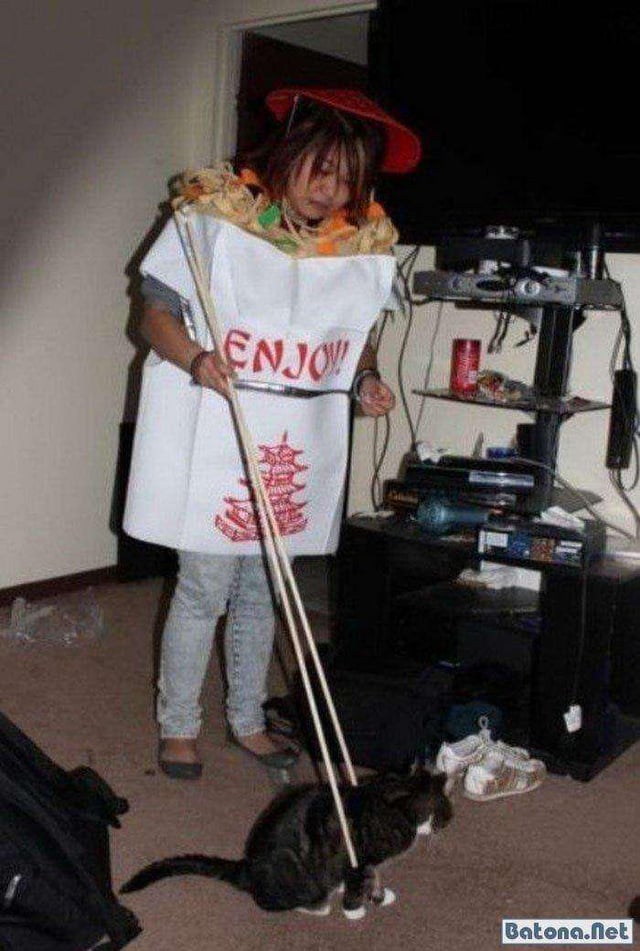 Chinese Chopstick Cat Blank Meme Template