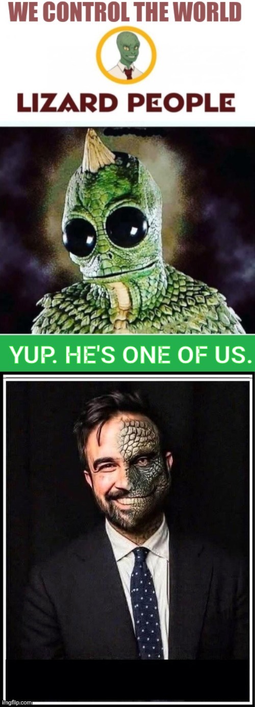 Zohran Mamdani is a lizard man | image tagged in zohran is a reptillion,aliens | made w/ Imgflip meme maker