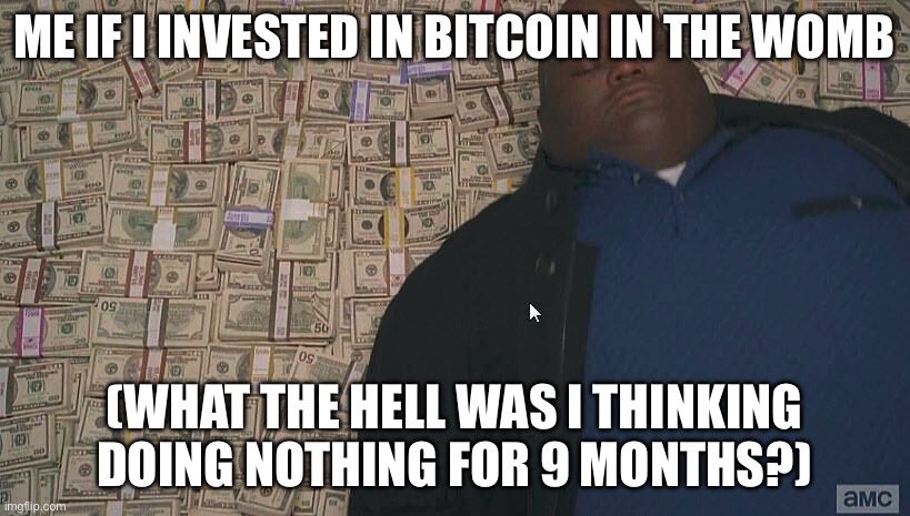 Fat guy laying on money | ME IF I INVESTED IN BITCOIN IN THE WOMB; (WHAT THE HELL WAS I THINKING DOING NOTHING FOR 9 MONTHS?) | image tagged in fat guy laying on money | made w/ Imgflip meme maker