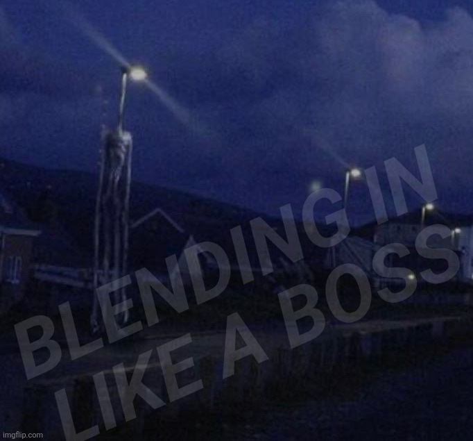 Light head | BLENDING IN
LIKE A BOSS | image tagged in light head | made w/ Imgflip meme maker