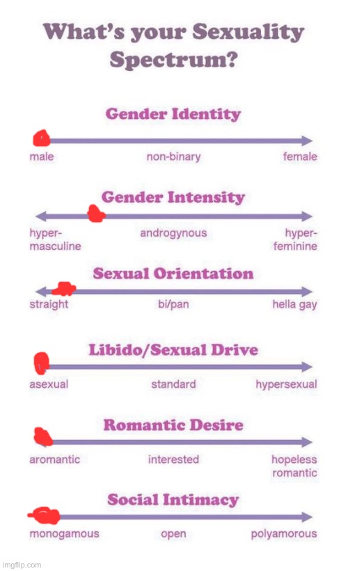 What's your sexuality spectrum? | image tagged in what's your sexuality spectrum,aromantic,asexual | made w/ Imgflip meme maker