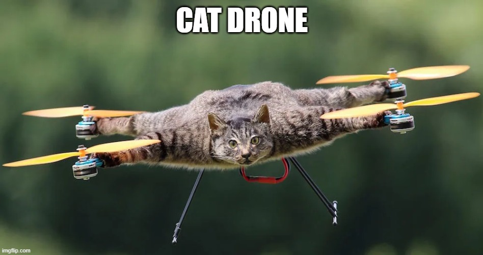 Would you turn your dead cat into a drone? | CAT DRONE | made w/ Imgflip meme maker