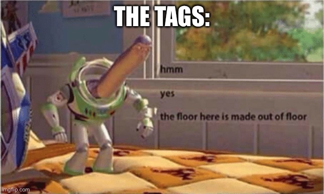 hmm yes the floor here is made out of floor | THE TAGS: | image tagged in hmm yes the floor here is made out of floor | made w/ Imgflip meme maker