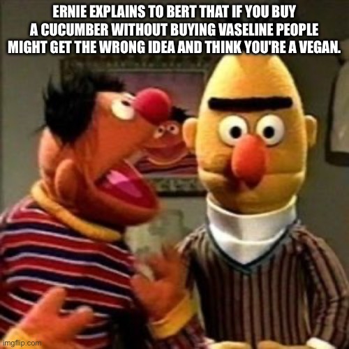 Bert is NOT a vegan | ERNIE EXPLAINS TO BERT THAT IF YOU BUY A CUCUMBER WITHOUT BUYING VASELINE PEOPLE MIGHT GET THE WRONG IDEA AND THINK YOU'RE A VEGAN. | image tagged in ernie and bert,vegan,vaseline,cucumber | made w/ Imgflip meme maker
