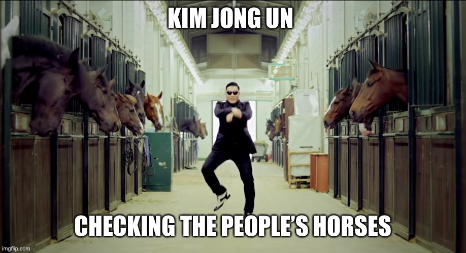 Totally Kim | image tagged in south korea,korea,north korea,gangnam style,repost,funny | made w/ Imgflip meme maker