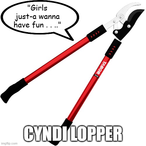 Cyndi Lopper | "Girls just-a wanna have fun . . .."; CYNDI LOPPER | image tagged in loppers,cyndi lauper,silly pun,funny memes | made w/ Imgflip meme maker