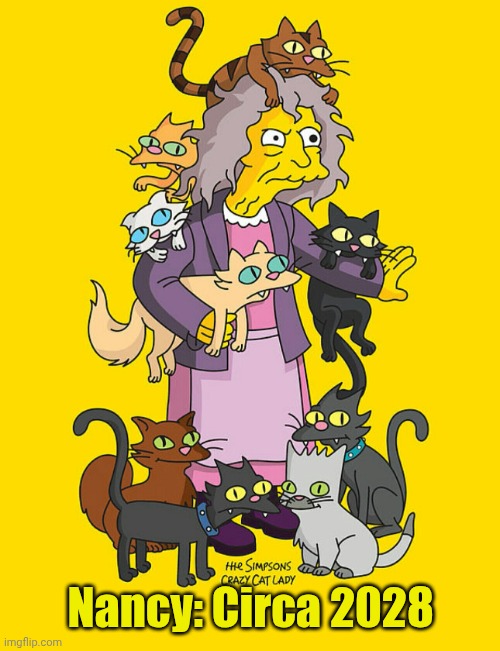 Crazy Cat Lady | Nancy: Circa 2028 | image tagged in crazy cat lady | made w/ Imgflip meme maker
