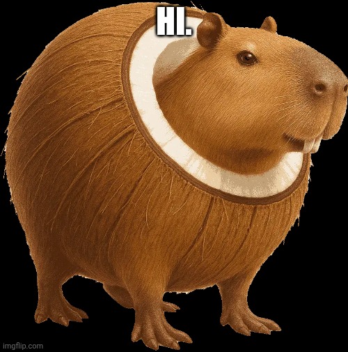 Burbaloni luliloli | HI. | image tagged in burbaloni luliloli | made w/ Imgflip meme maker