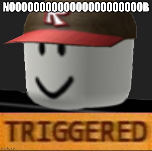 Roblox Triggered | NOOOOOOOOOOOOOOOOOOOOOOB | image tagged in roblox triggered | made w/ Imgflip meme maker