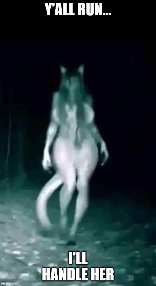 Y'all Run, I'll Handle Her | Y'ALL RUN... I'LL HANDLE HER | image tagged in funny,sexy,cat,woman,lady,girl | made w/ Imgflip meme maker