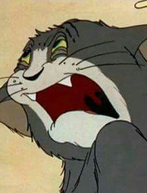 Tom pain Blank Meme Template