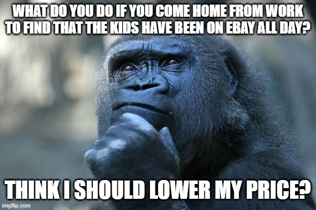 Kids On EBay Question | WHAT DO YOU DO IF YOU COME HOME FROM WORK TO FIND THAT THE KIDS HAVE BEEN ON EBAY ALL DAY? THINK I SHOULD LOWER MY PRICE? | image tagged in deep thoughts | made w/ Imgflip meme maker