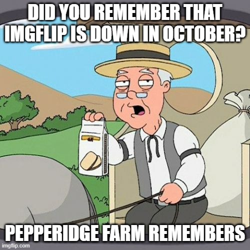 I just go to wikipedia or something if imgflip is down | DID YOU REMEMBER THAT IMGFLIP IS DOWN IN OCTOBER? PEPPERIDGE FARM REMEMBERS | image tagged in memes,pepperidge farm remembers,imgflip,imgflippers,imgflip community,servers | made w/ Imgflip meme maker