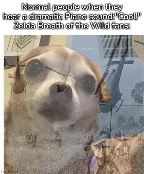 Anyone has a Shield? | Normal people when they hear a dramatic Piano sound:"Cool!"
Zelda Breath of the Wild fans: | image tagged in ptsd chihuahua,piano,the legend of zelda breath of the wild | made w/ Imgflip meme maker