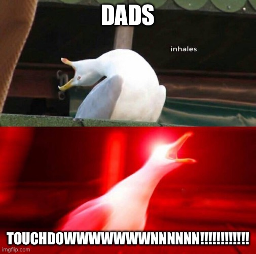 Inhaling Seagull  | DADS TOUCHDOWWWWWWWNNNNNN!!!!!!!!!!!! | image tagged in inhaling seagull | made w/ Imgflip meme maker