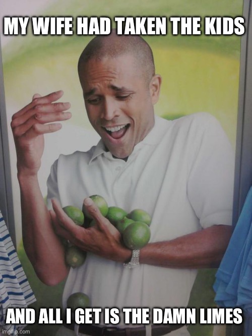 Oof | MY WIFE HAD TAKEN THE KIDS; AND ALL I GET IS THE DAMN LIMES | image tagged in memes,why can't i hold all these limes | made w/ Imgflip meme maker