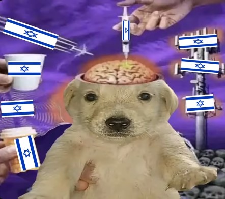 dOG'S BRAIN ISRAELED Blank Meme Template
