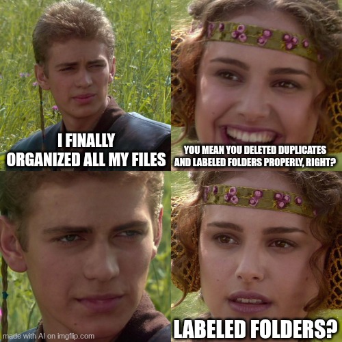 My computer | I FINALLY ORGANIZED ALL MY FILES; YOU MEAN YOU DELETED DUPLICATES AND LABELED FOLDERS PROPERLY, RIGHT? LABELED FOLDERS? | image tagged in anakin padme 4 panel | made w/ Imgflip meme maker