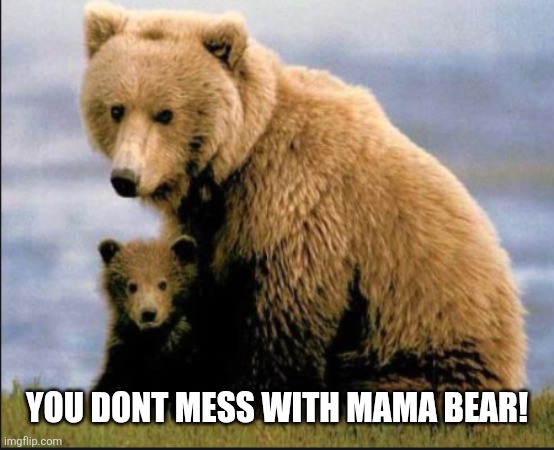 mama bear heart | YOU DONT MESS WITH MAMA BEAR! | image tagged in mama bear heart | made w/ Imgflip meme maker