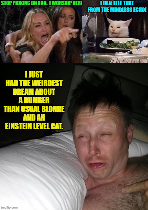Nightmare or enlightenment? | STOP PICKING ON AOC.  I WORSHIP HER! I CAN TELL THAT FROM THE MINDLESS ECHO! I JUST HAD THE WEIRDEST DREAM ABOUT A DUMBER THAN USUAL BLONDE AND AN EINSTEIN LEVEL CAT. | image tagged in woman yelling at cat | made w/ Imgflip meme maker