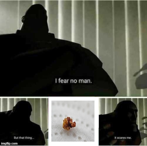 Kidney Stones | image tagged in i fear no man,kidney stones,kidney,stone | made w/ Imgflip meme maker