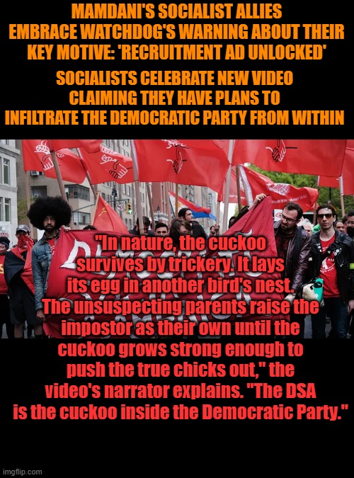 ENEMIES WITHIN, the are total exposed now. Choose wisely NY once they're in, only way you'll get rid of them is WAR... 60's 2.0 | MAMDANI'S SOCIALIST ALLIES EMBRACE WATCHDOG'S WARNING ABOUT THEIR KEY MOTIVE: 'RECRUITMENT AD UNLOCKED'; SOCIALISTS CELEBRATE NEW VIDEO CLAIMING THEY HAVE PLANS TO INFILTRATE THE DEMOCRATIC PARTY FROM WITHIN; "In nature, the cuckoo survives by trickery. It lays its egg in another bird's nest. The unsuspecting parents raise the impostor as their own until the cuckoo grows strong enough to push the true chicks out," the video's narrator explains. "The DSA is the cuckoo inside the Democratic Party." | made w/ Imgflip meme maker