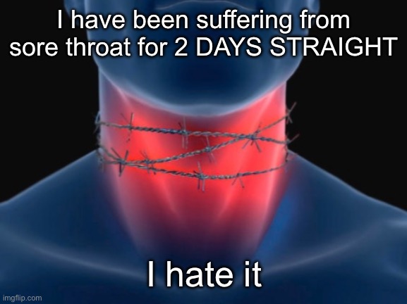 Throat pain | I have been suffering from sore throat for 2 DAYS STRAIGHT; I hate it | image tagged in throat pain | made w/ Imgflip meme maker