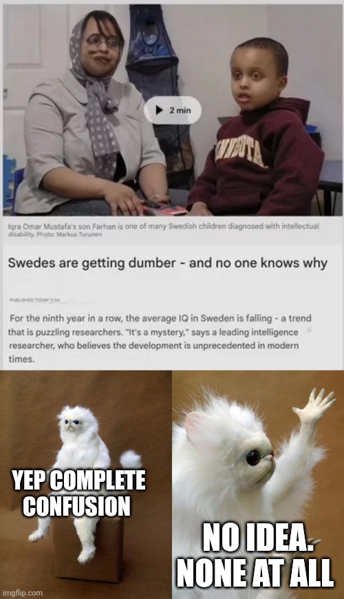 YEP COMPLETE CONFUSION; NO IDEA. NONE AT ALL | image tagged in memes,persian cat room guardian | made w/ Imgflip meme maker