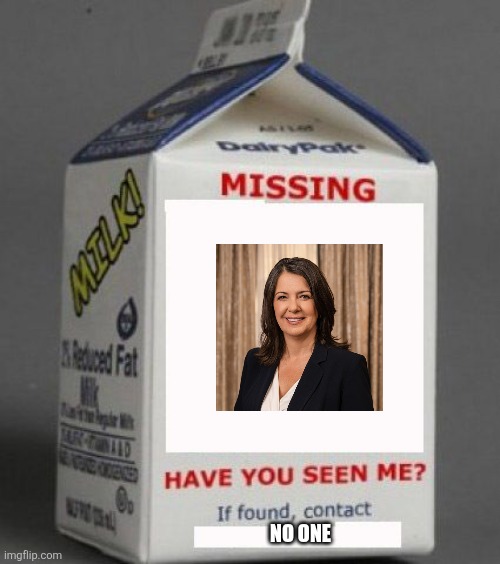 Canadian politics | NO ONE | image tagged in political meme | made w/ Imgflip meme maker