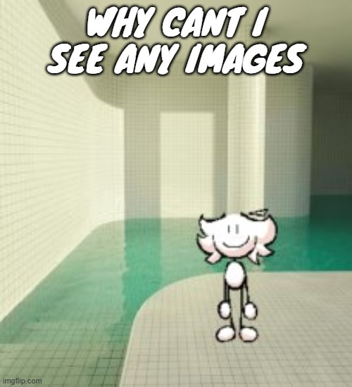 WHY CANT I SEE ANY IMAGES | made w/ Imgflip meme maker