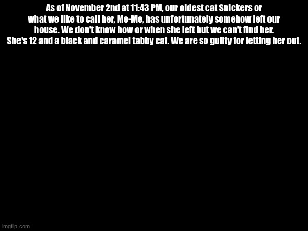 As of November 2nd at 11:43 PM, our oldest cat Snickers or what we like to call her, Me-Me, has unfortunately somehow left our house. We don't know how or when she left but we can't find her. She's 12 and a black and caramel tabby cat. We are so guilty for letting her out. | made w/ Imgflip meme maker