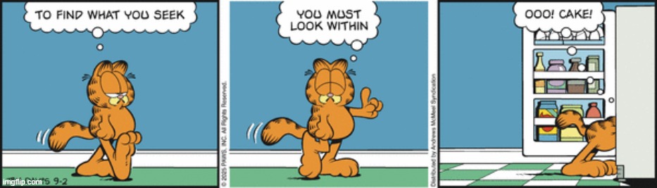 Garfield | image tagged in comics | made w/ Imgflip meme maker