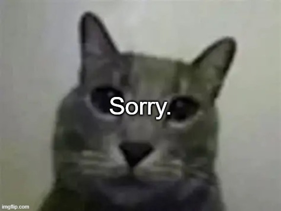 I knew I'd regret posting that. I hate myself dawg | Sorry. | image tagged in yo got games on yo phone,ralsei of topic | made w/ Imgflip meme maker