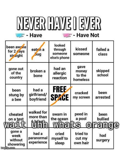 I'm tired of doin the same bingo 3 times, also hi chat | wait uhh whats orange | image tagged in never have i ever | made w/ Imgflip meme maker